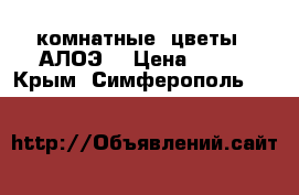 комнатные  цветы . АЛОЭ. › Цена ­ 100 - Крым, Симферополь  »    